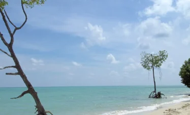 Magical Andaman Islands Tour Package