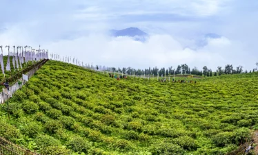Serene Sikkim Delight Tour Package