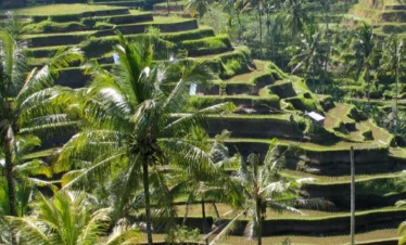 Indonesia Family Vacation Delight